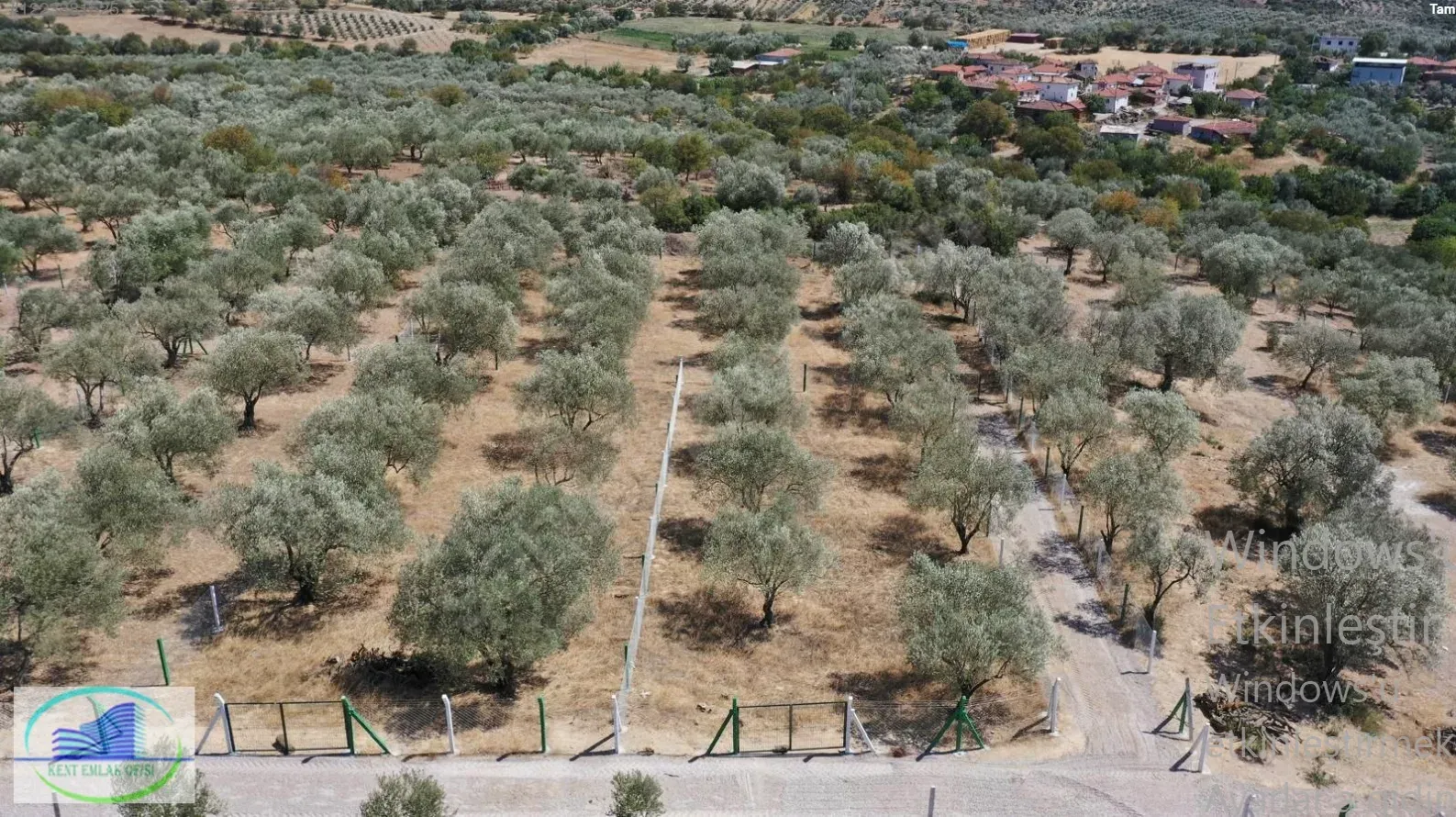 KENT GAYRİMENKUL'DEN FIRSAT KONUMDA TAKASLI 450 METRE ZEYTİNLİK - görsel 2